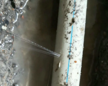 鼓楼卫生间测漏水多少钱